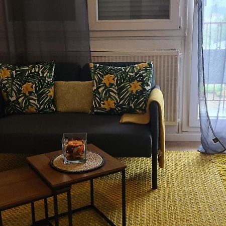 Studio Kulla Avec Terasse 5Mn Basel Airport Saint-Louis  Ngoại thất bức ảnh