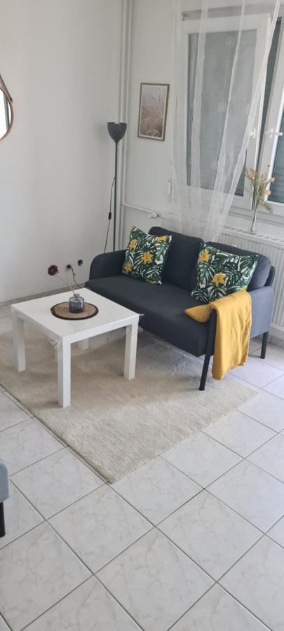 Studio Kulla Avec Terasse 5Mn Basel Airport Saint-Louis  Ngoại thất bức ảnh