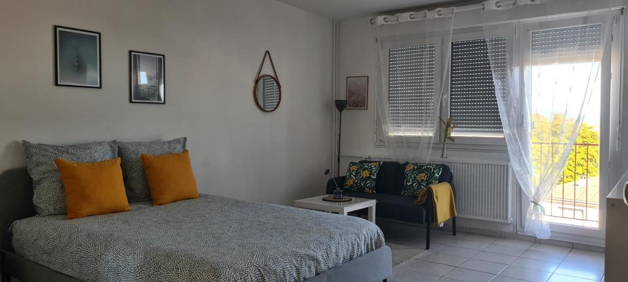 Studio Kulla Avec Terasse 5Mn Basel Airport Saint-Louis  Ngoại thất bức ảnh